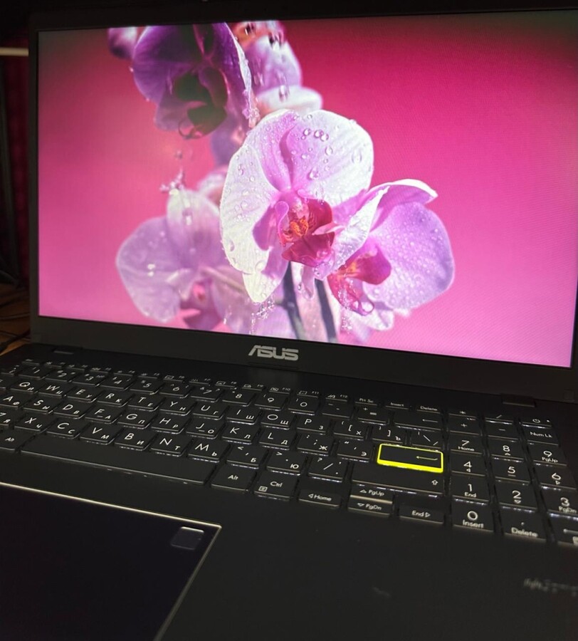 Ноутбук ASUS Celeron n4020\ssd 256\8